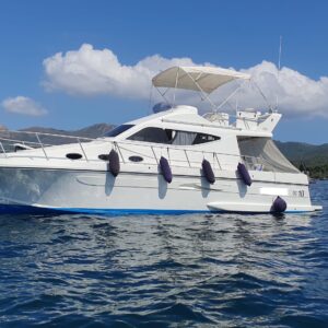 Dellapasqua DC 10s FLY