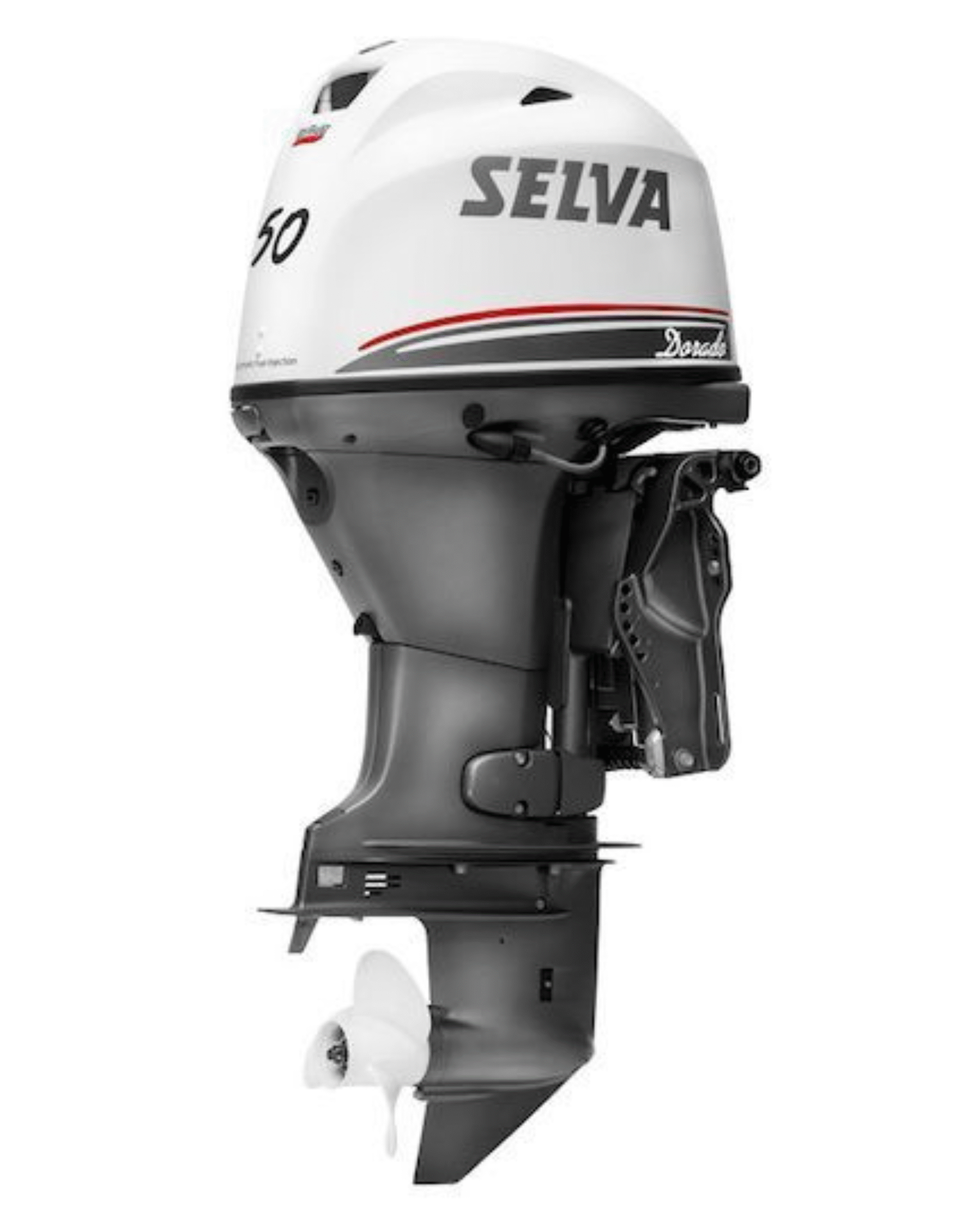 Immagine motore selva